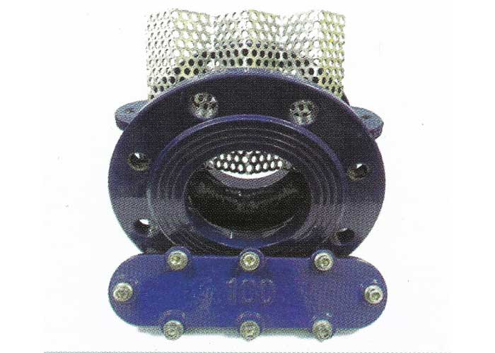 Water Filters / Strainers