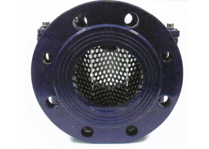Water Filters / Strainers