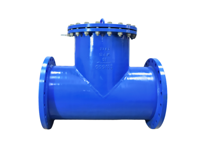 Bulk Strainer DN 50: 500 MM