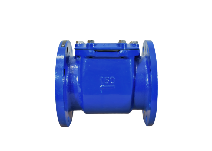 Bulk Strainer DN 50: 500 MM