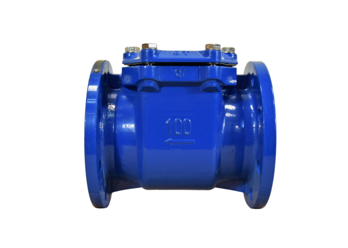 Bulk Strainer DN 50: 500 MM