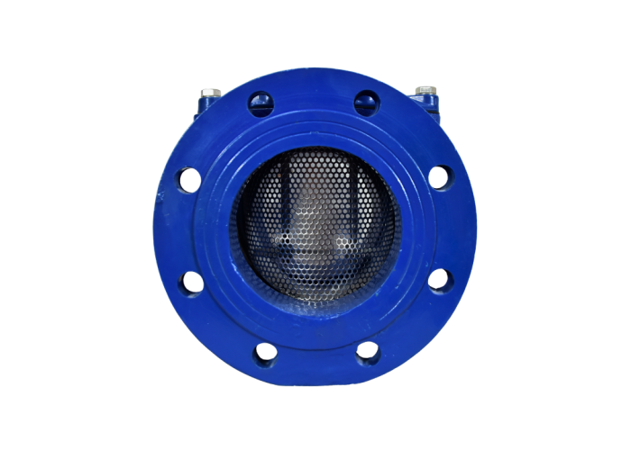 Bulk Strainer DN 50: 500 MM