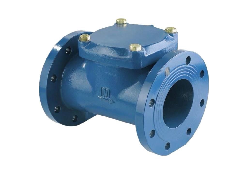 Bulk Strainer DN 50: 500 MM